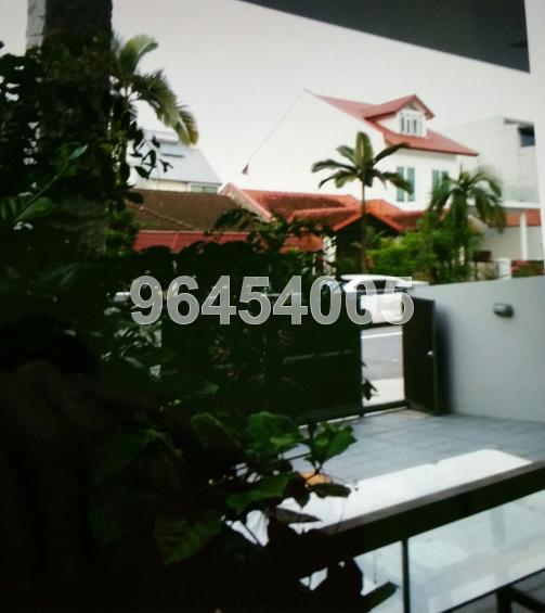 Serangoon Garden Estate (D19), Semi-Detached #103369352